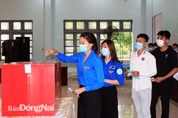 Sinh viên Phân hiệu Trường đại học Lâm nghiệp tham gia bỏ phiếu. Ảnh: Nga Sơn