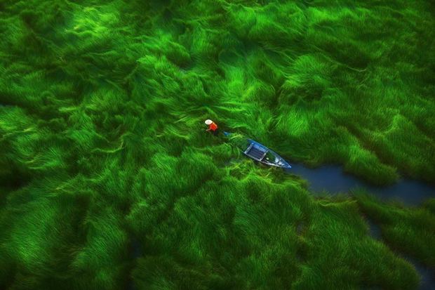 Bird's eye view photos featuring Vietnam's beauty impress international viewers