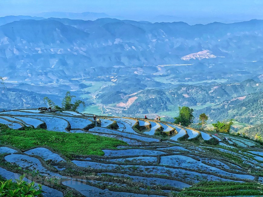 During the ‘pouring-water season’ in May, tourists can witness the transplanting of seedlings and seeing the whole area turn green after. 