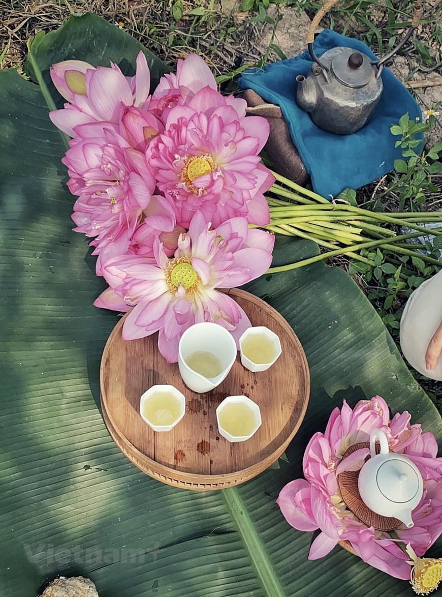 A set of lotus tea amid green nature