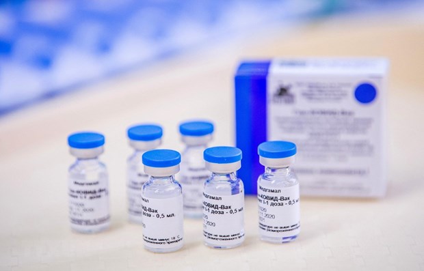 Russia has agreed to provide Vietnam with 20 million doses of its coronavirus vaccine Sputnik V this year. (Photo: AFP/VNA)
