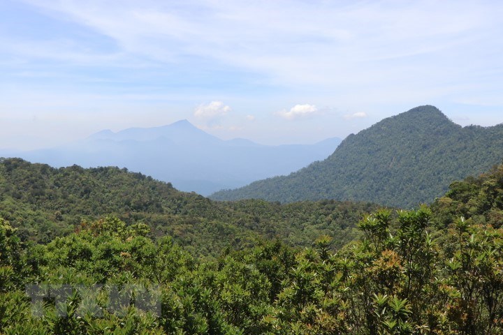 The magnificent, pristine beauty of Bach Ma National Park