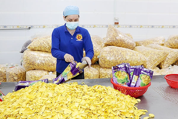 Chế biến trái cây sấy tại Công ty TNHH Thương mại sản xuất Thuận Hương (H.Định Quán). Ảnh: B.Nguyên