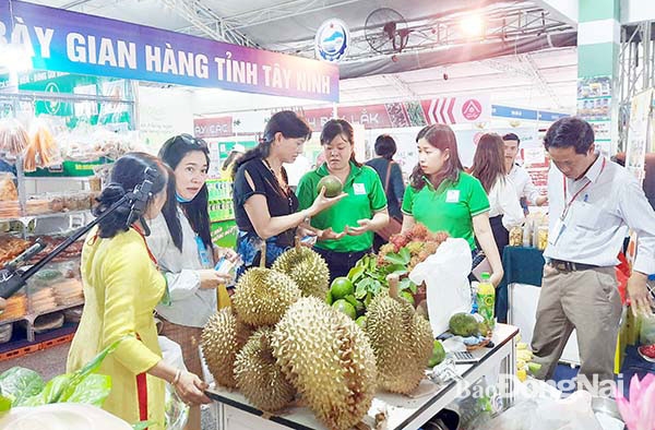 Trái sầu riêng của HTX Xuân Định (H.Xuân Lộc) được quảng bá tại một hội chợ ở TP.HC. Ảnh: Văn Gia