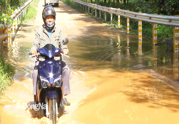 Cầu bắc qua suối Tà Rua nối 2 huyện Xuân Lộc và Định Quán sắp được xây dựng. Ảnh: Hải Đình