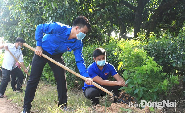 Ảnh minh họa: Cán bộ, đoàn viên thanh niên trong tỉnh tham gia trồng cây xanh hưởng ứng tết trồng cây đời đời nhớ ơn Bác Hồ được tổ chức vào tháng 5 vừa qua