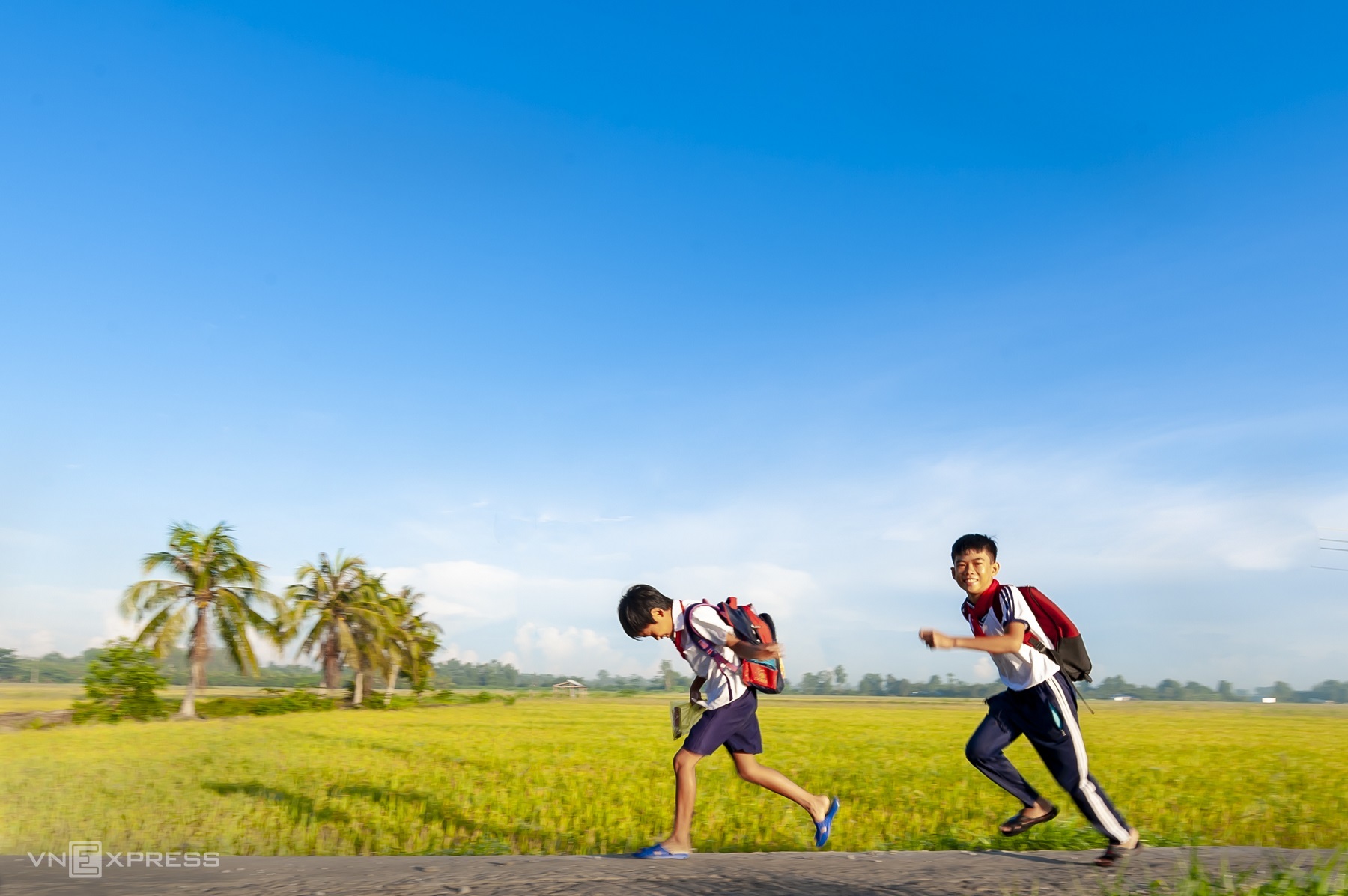 On the way to school, two children pass through a rice field in Hoa Luu Commune.