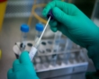 175 medical facilities capable of conducting confirmatory COVID-19 tests