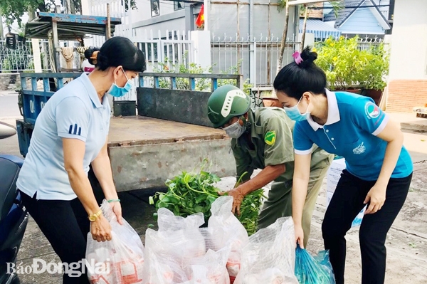 Hội LHPN tỉnh trao nguồn lực cho Hội LHPN TP.Biên Hòa để tặng cho hội viên phụ nữ có hoàn cảnh khó khăn trên địa bàn TP.Biên Hòa. Ảnh: CTV