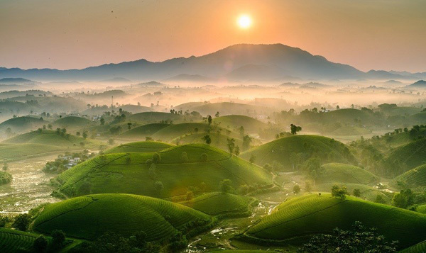 The third prize Don nang (Welcoming the sunshine) by Do Thu Quyen. The photo features the majestic and dream beauty of tea hills in Tan Son district’s Long Coc Commune in Phu Tho. Each morning, Long Coc is shrouded in the mist. The hill stands tall in Long Coc Commune, Tan Son District, covering 10,000 square metres with hundreds of small hills carpeted in tea like upturned bowls stretching out to the horizon. This oasis has also earned Long Coc the nickname Ha Long Bay in the midland region. The hill, which is home to several tea farms, is a magnet for low temperatures with a blanket of fog settling the summit. The whole scene looked like a painting. 