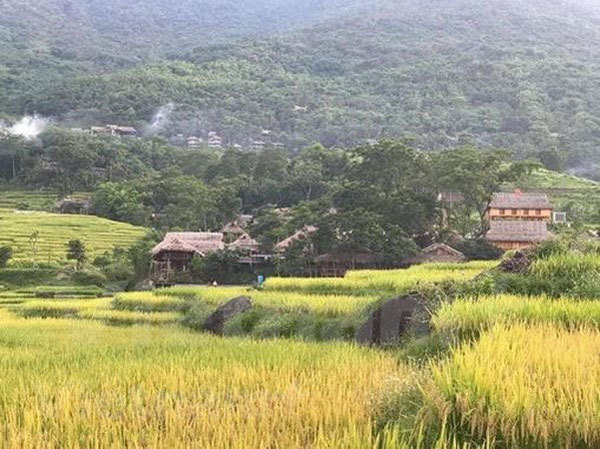 Pu Luong during the ripening rice season.