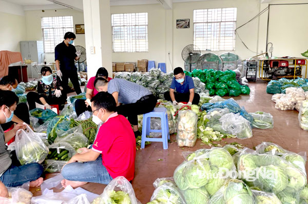 Nguồn rau củ tập kết tại trụ sở Sở NN-PTNT được phân chia thành từng phần để thuận tiện trao đến tận tay người dân cần hỗ trợ. Ảnh: N.N