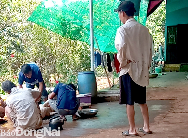 Tự mổ heo bán: Có phạm luật?
