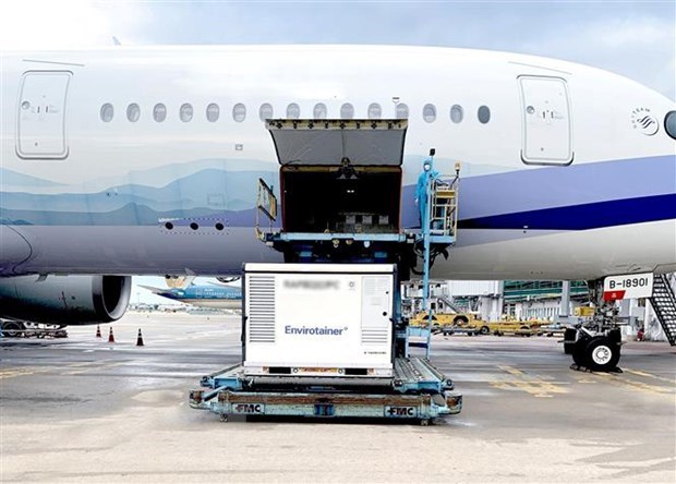 Two batches arrive in Tan Son Nhat airport, Ho Chi Minh City (Photo: VNA)