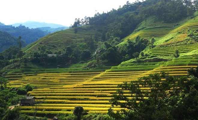 The tourism programme, Qua Nhung Mien Di San Ruong Bac Thang (Travelling to the Heritage Lands across Terraced Fields in Hoang Su Phi), will be jointly organised by local authorities and FPT Group and screened on FPT’s digital platform.