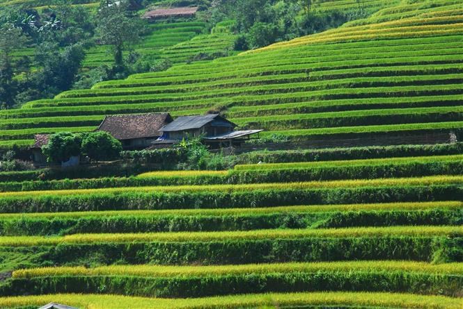 The programme is aimed to promote the landscapes, cultures and heritages of Ha Giang province, connect the introduction and sale of typical local agricultural products on virtual trading floors. 