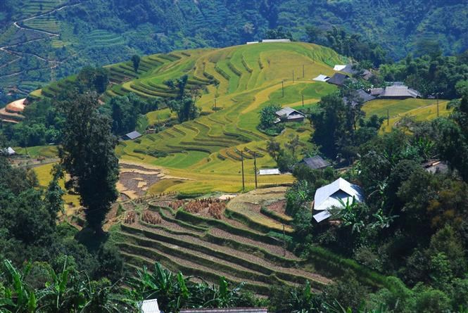 Participants will be able to view the stunning beauty of Hoang Su Phi terraced fields during harvest season from August to October, which before the pandemic, enticed many tourists and backpackers to the region.