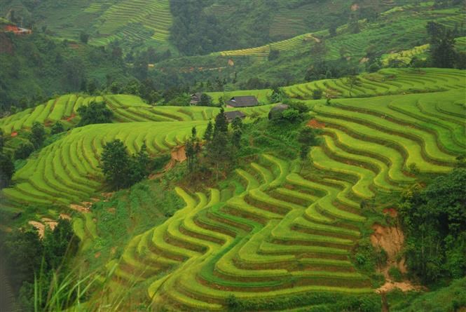 The terraced fields were ranked as national heritage site by the Ministry of Culture, Sports and Tourism in 2011 and 2016. 