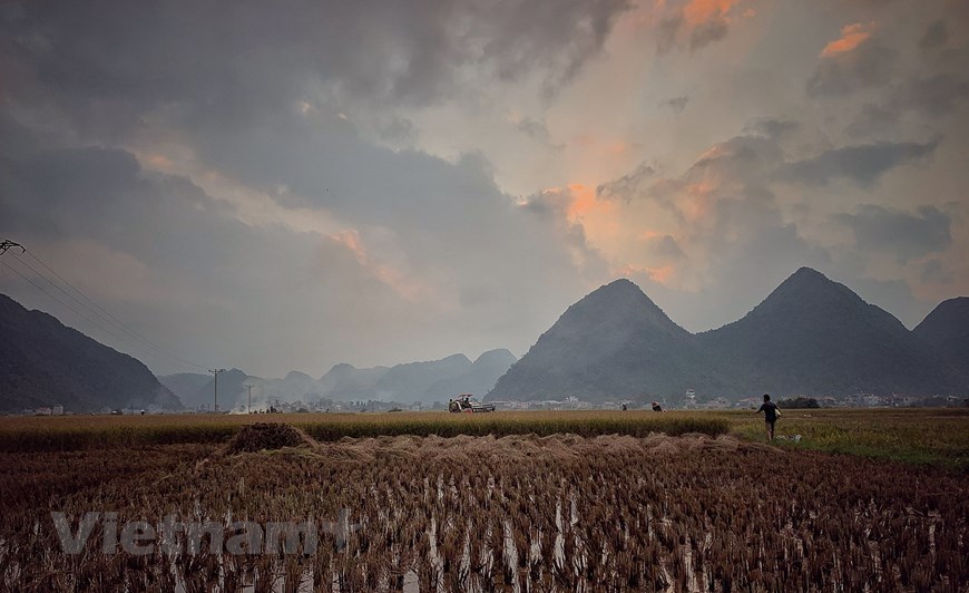 Sunset is gradually blanketing rice fields in Lai Chau highlands. Smoke from haystacks together with mist create a peaceful countryside scene. 