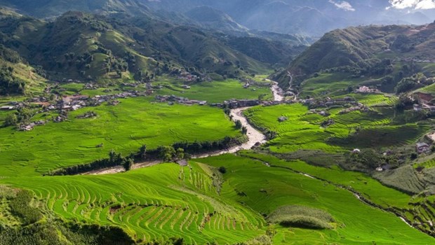  Amazing rice terraces in Sa Pa, Lao Cai province (Photo: VNA)