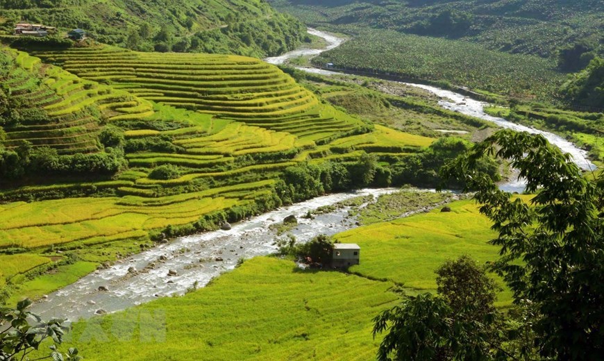 Early September is the best time to seek out the gorgeous beauty of Si Lo Lau when the mature rice terraces turn yellow. The terraces are cultivated by the Dao and Ha Nhi ethnic groups.