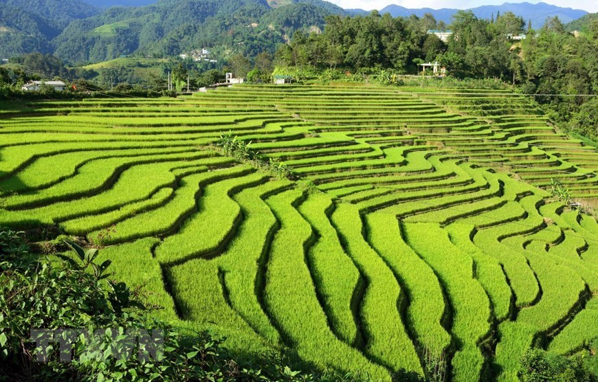 The terraced rice fields are created by ethnics in the border commune of Si Lo Lau. 