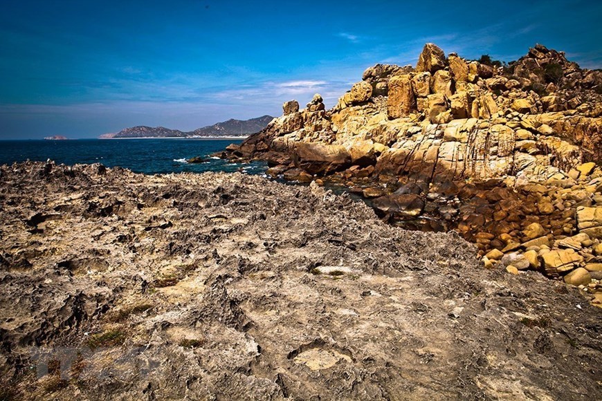 Sao Hoa rocks – the ancient coral reef dating back millions of years at Nui Chua Biosphere Reserve.