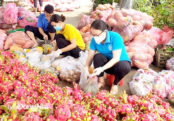 Cán bộ Văn phòng Huyện ủy Trảng Bom tham gia phân phối lương thực, thực phẩm cho người dân bị ảnh hưởng bởi dịch Covid-19 trên địa bàn huyện. Ảnh địa phương cung