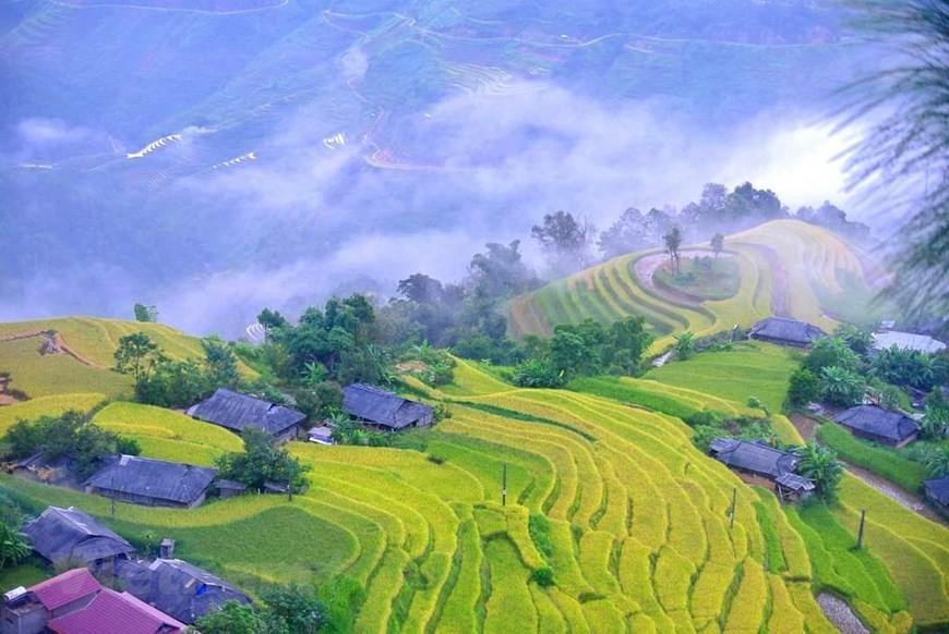 Along with renowned mountainous destinations like Y Ty and Sapa in Lao Cai province and Mu Cang Chai in Yen Bai province, Hoang Su Phi is a jaw-dropping area of Vietnam’s north well worth visiting. 