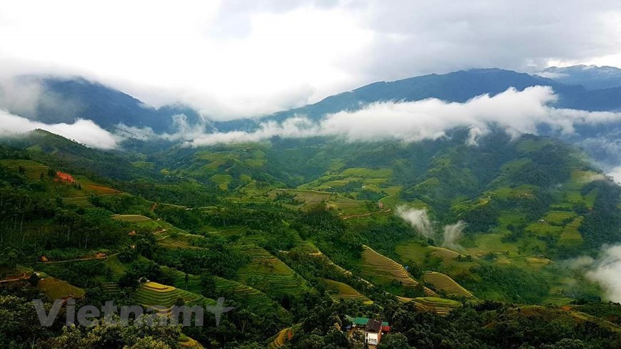 The breathtaking scenery of Hoang Su Phi district attracts visitors at any time. 