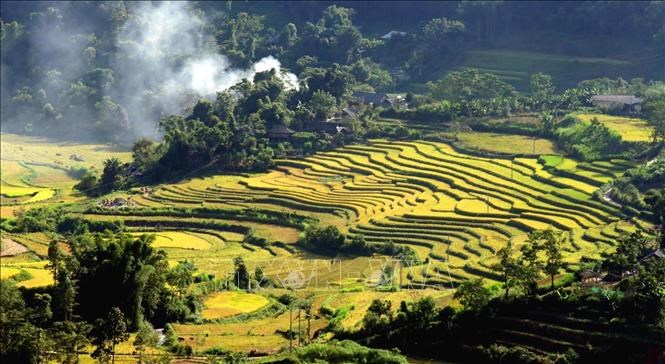 A view of Te Leng terraced rice fields