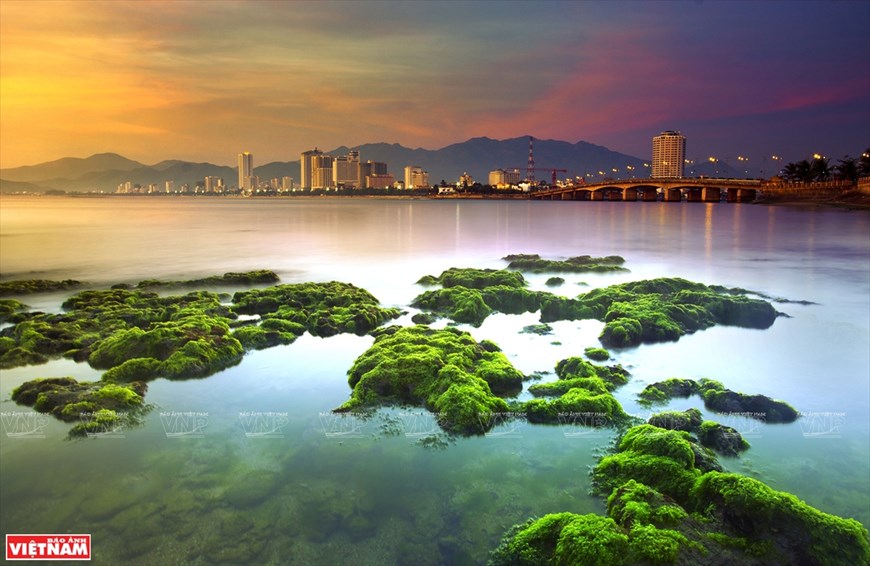 The work "Moss season on Nha Trang beach"