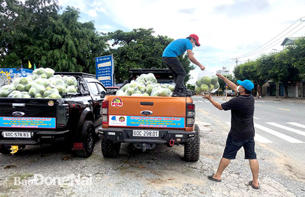 Các chuyến xe bán hàng lưu động bình ổn giá đã cung ứng khoảng 600 tấn nông sản
