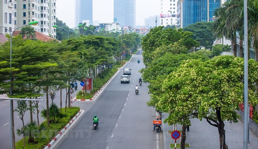 Among the hundreds of reasons to fall in love with Hanoi are its white milk flowers, which bloom and release a strong fragrance from September to November. 