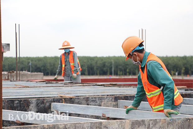 Công nhân thi công tại một công trình thuộc dự án Xây dựng hệ thống hạ tầng xã hội khu tái định cư Lộc An - Bình Sơn. Ảnh: Phạm Tùng