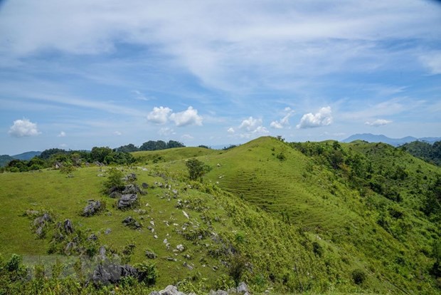 Nang Tien is a famous mountain in Na Tan village, Thien Hoa commune, about 50km from the middle of Binh Gia district, Lang Son province. Located in a low mountainous terrain with green lawns covering around 24 hectares, this place is very suitable for those who love nature and wish to explore the nature’s beauty. 