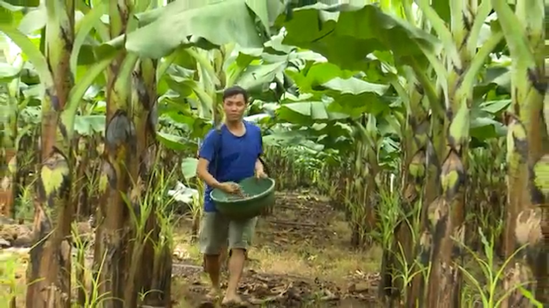 Nông dân gặp khó vì giá vật tư nông nghiệp tăng cao