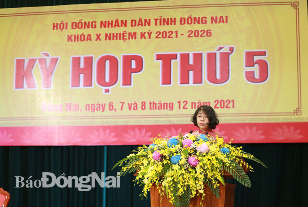 Phó chủ tịch HĐND tỉnh Hoàng Thị Bích Hằng phát biểu tại hội nghị. Ảnh: Huy Anh