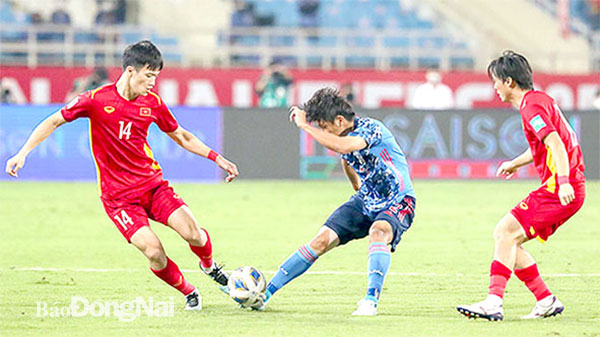 Sau 9 năm, Sư tử biển trở lại