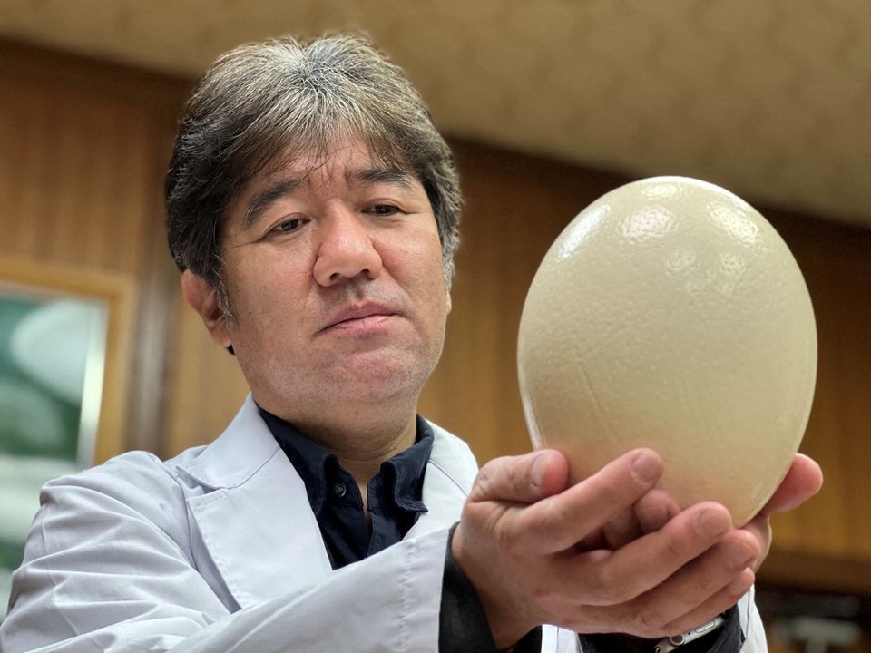 Kyoto Prefectural University President and Doctor of Veterinary Medicine Yasuhiro Tsukamoto holds an ostrich egg in Kyoto, Japan in this handout photo taken August, 2021 and released by Kyoto Prefectural University.