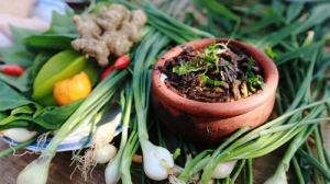 Stewed clam worms with star fruits: A delicacy of the North