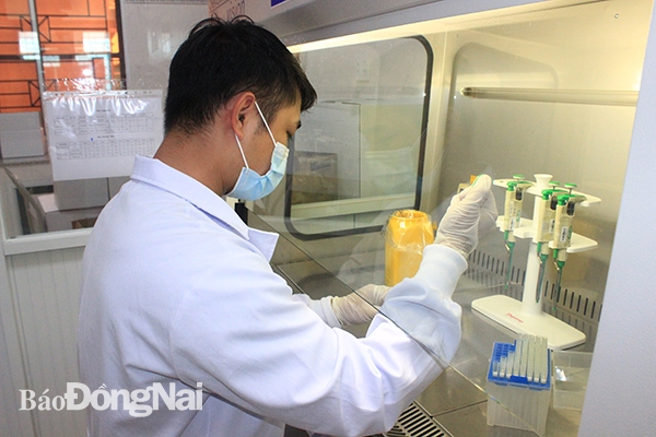 Xét nghiệm Covid-19 bằng phương pháp RT-PCR tại Trung tâm Kiểm soát bệnh tật tỉnh.