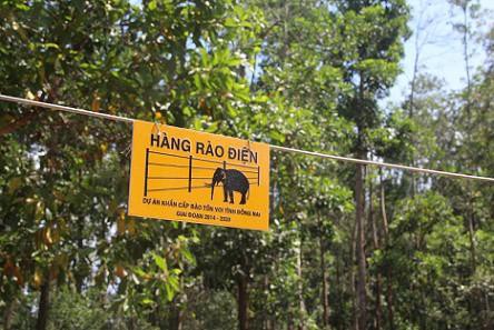 Dong Nai Province is building more electric fences to prevent wild elephants from entering residential areas.