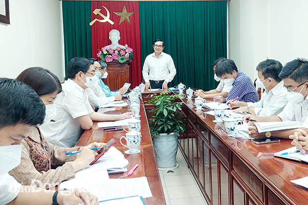 Phó chủ tịch UBND tỉnh Nguyễn Sơn Hùng kết luận tại cuộc họp.