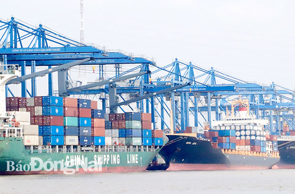 Hàng hóa của Đồng Nai xuất khẩu tại cảng Cát Lái (TP.HCM). Ảnh: Khánh Minh