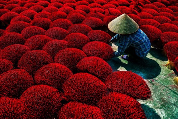 Local image wins prize at CEFF International Environmental Photography