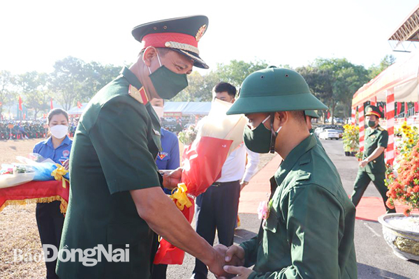 Over 3,000 youths in Dong Nai province join the army