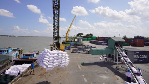 High quality rice is being prepared for export. Photo nld.com.vn