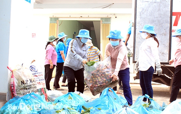 Cán bộ, chuyên viên Hội LHPN tỉnh tiếp nhận nguồn rau củ quả ủng hộ để tặng hội viên phụ nữ trong khu phong tỏa