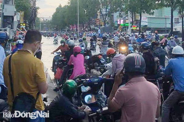 Đường Đồng Khởi đoạn gần ngã ba Trảng Dài nước ngập đường, người dân không thể lưu thông được
